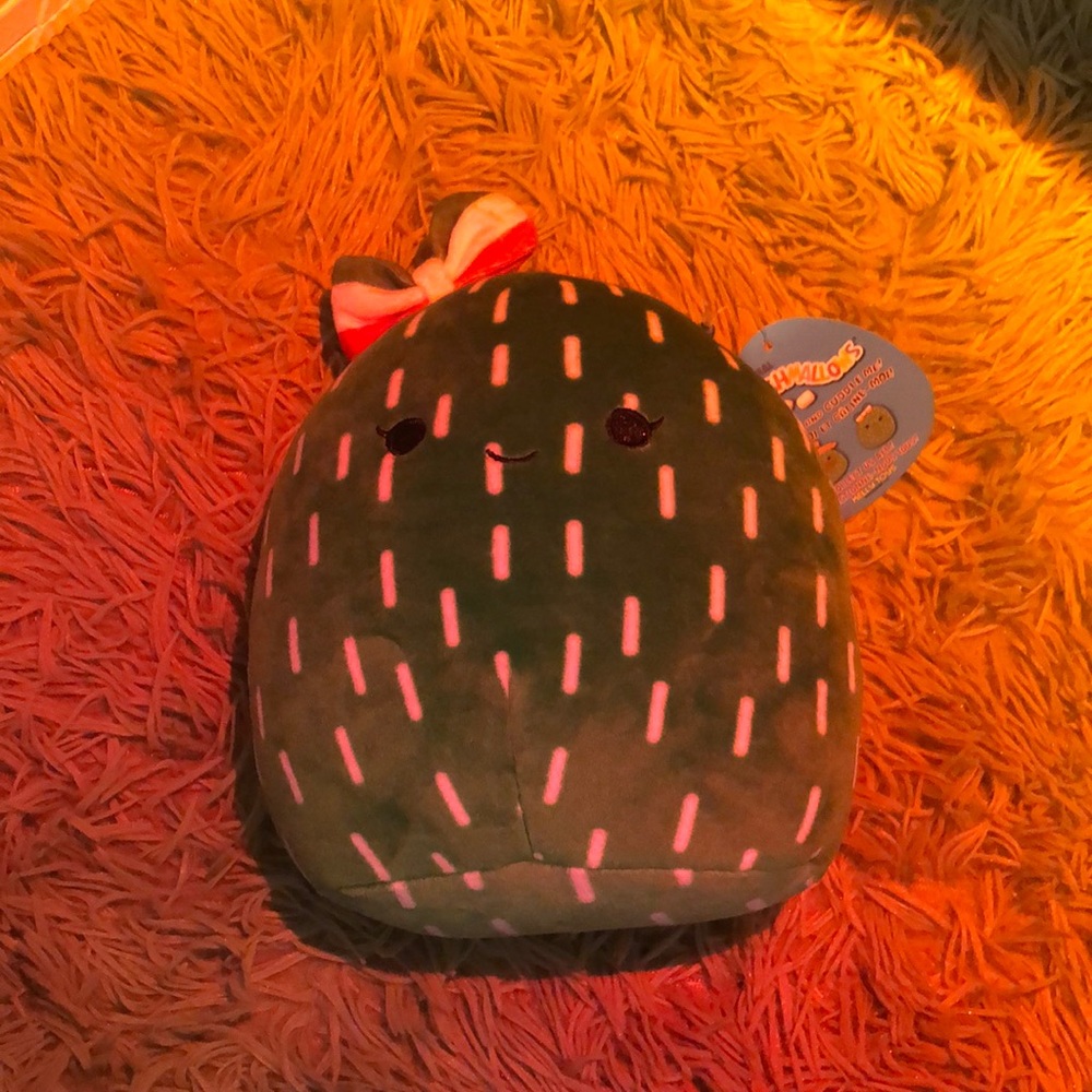 !NTW!Culture collection cactus!